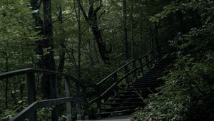 Preview wallpaper stairs, steps, trees, nature