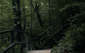 Preview wallpaper stairs, steps, trees, nature