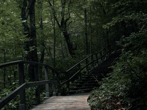 Preview wallpaper stairs, steps, trees, nature