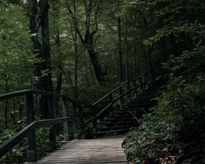 Preview wallpaper stairs, steps, trees, nature