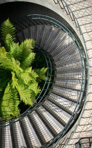 Preview wallpaper stairs, steps, twisting, palm tree, aerial view