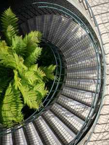 Preview wallpaper stairs, steps, twisting, palm tree, aerial view