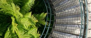 Preview wallpaper stairs, steps, twisting, palm tree, aerial view