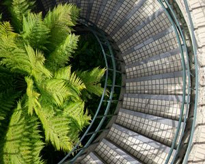 Preview wallpaper stairs, steps, twisting, palm tree, aerial view