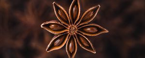 Preview wallpaper star anise, seeds, spice, plant, brown