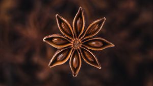 Preview wallpaper star anise, seeds, spice, plant, brown