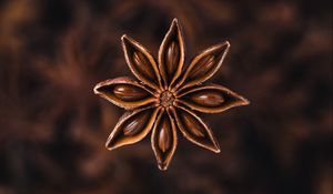 Preview wallpaper star anise, seeds, spice, plant, brown