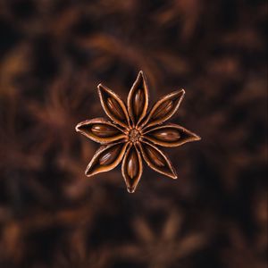 Preview wallpaper star anise, seeds, spice, plant, brown