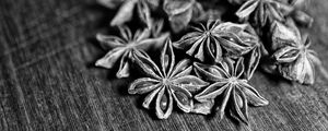 Preview wallpaper star anise, spices, macro, black and white