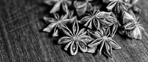 Preview wallpaper star anise, spices, macro, black and white