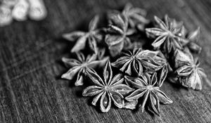 Preview wallpaper star anise, spices, macro, black and white