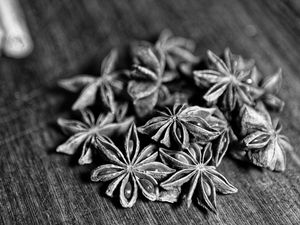 Preview wallpaper star anise, spices, macro, black and white