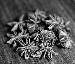 Preview wallpaper star anise, spices, macro, black and white