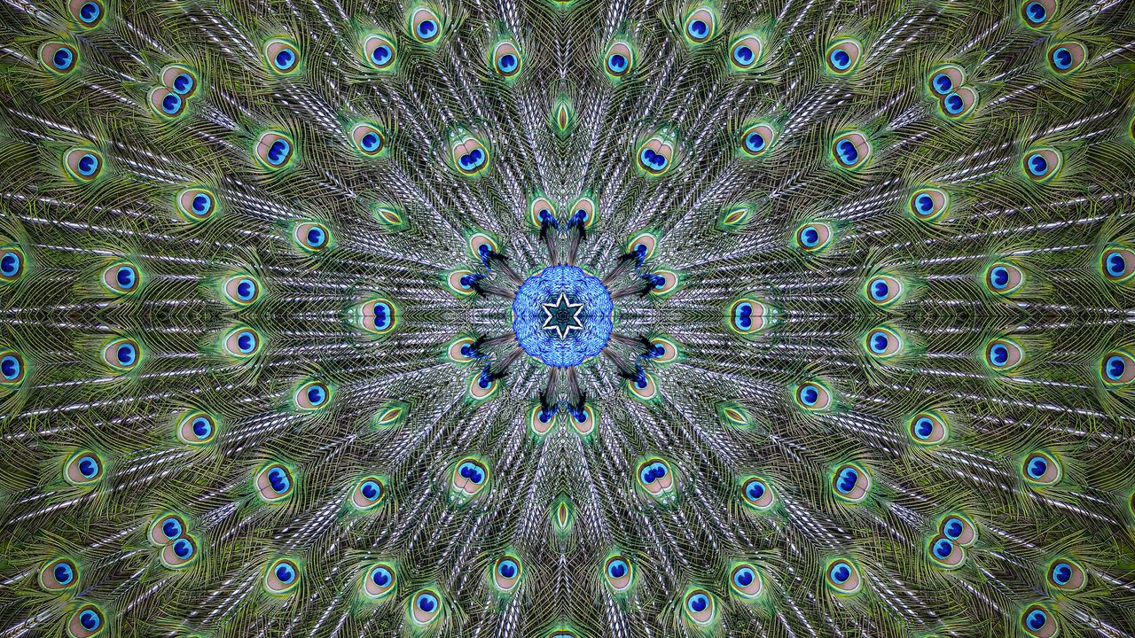 Wallpaper star, peacock, feathers, kaleidoscope, background