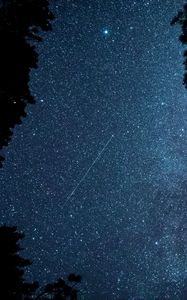 Preview wallpaper starfall, stars, night, branches