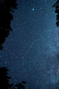 Preview wallpaper starfall, stars, night, branches