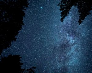 Preview wallpaper starfall, stars, night, branches