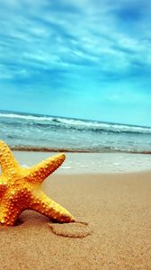 Preview wallpaper starfish, coast, beach, sand