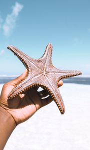 Preview wallpaper starfish, hand, beach, summer