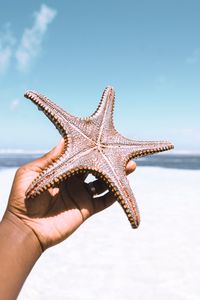 Preview wallpaper starfish, hand, beach, summer