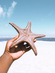 Preview wallpaper starfish, hand, beach, summer