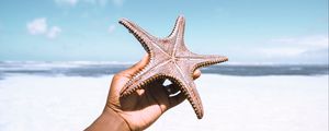 Preview wallpaper starfish, hand, beach, summer