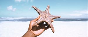 Preview wallpaper starfish, hand, beach, summer