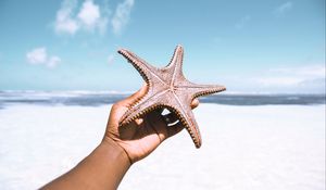 Preview wallpaper starfish, hand, beach, summer