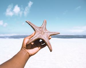 Preview wallpaper starfish, hand, beach, summer