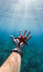 Preview wallpaper starfish, hand, water, underwater