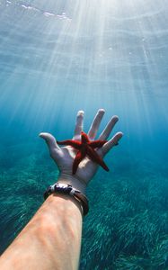 Preview wallpaper starfish, hand, water, underwater