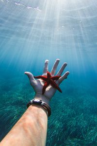 Preview wallpaper starfish, hand, water, underwater