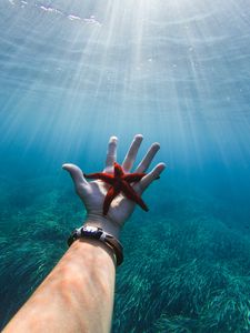 Preview wallpaper starfish, hand, water, underwater