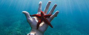 Preview wallpaper starfish, hand, water, underwater