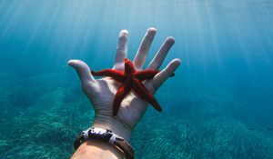 Preview wallpaper starfish, hand, water, underwater