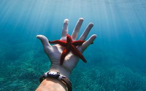 Preview wallpaper starfish, hand, water, underwater