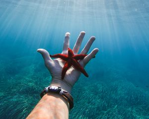 Preview wallpaper starfish, hand, water, underwater