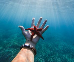 Preview wallpaper starfish, hand, water, underwater