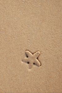 Preview wallpaper starfish, sand, beach, texture
