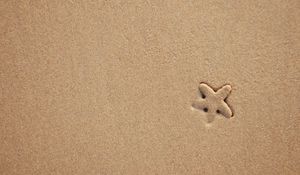 Preview wallpaper starfish, sand, beach, texture