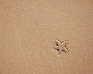 Preview wallpaper starfish, sand, beach, texture