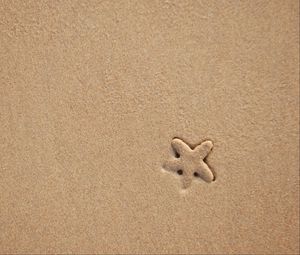 Preview wallpaper starfish, sand, beach, texture