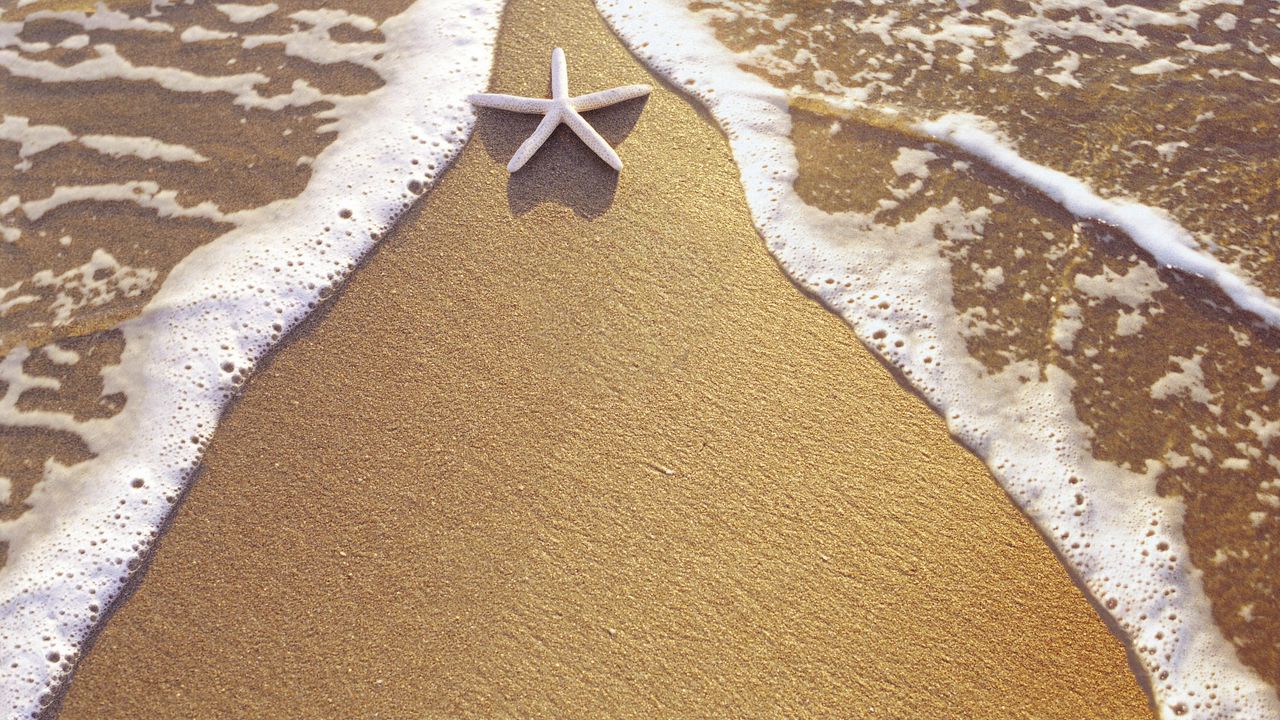Wallpaper starfish, sand, sea, foam, triangle