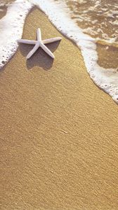 Preview wallpaper starfish, sand, sea, foam, triangle