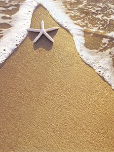 Preview wallpaper starfish, sand, sea, foam, triangle