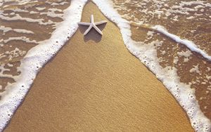 Preview wallpaper starfish, sand, sea, foam, triangle
