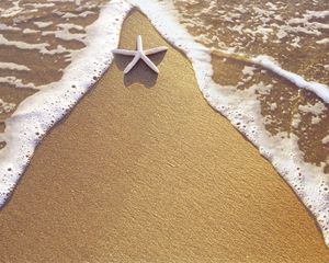 Preview wallpaper starfish, sand, sea, foam, triangle