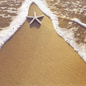 Preview wallpaper starfish, sand, sea, foam, triangle