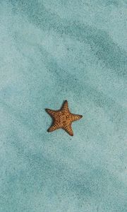 Preview wallpaper starfish, sand, surface