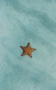 Preview wallpaper starfish, sand, surface